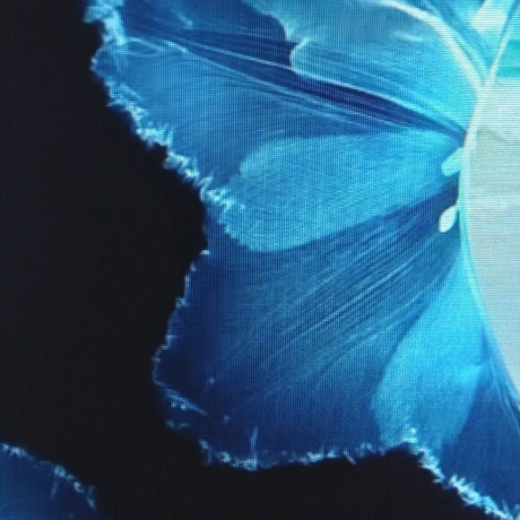 Elegant Classy One-Piece Swimsuit - Picture 3 of 3